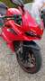 Ducati 959 Panigale CORSE Red - thumbnail 7