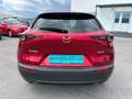 Mazda CX-30 G122 Comfort+/ST Aut. Rot - thumbnail 7