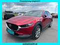 Mazda CX-30 G122 Comfort+/ST Aut. Rot - thumbnail 1