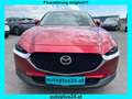 Mazda CX-30 G122 Comfort+/ST Aut. Rot - thumbnail 2