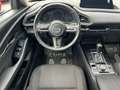 Mazda CX-30 G122 Comfort+/ST Aut. Rot - thumbnail 14