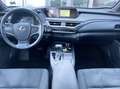 Lexus 250 2.0 Hybrid 152CV E6 Automatica - 2019 Сірий - thumbnail 6