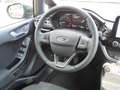 Ford Fiesta 1.0 Titanium X*SHZG*RF-Kam*NAVI*LED*AW-Reifen Grau - thumbnail 12