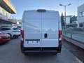 Fiat Ducato 35 2.3 MJT 130CV PM-TM Furgone Weiß - thumbnail 2