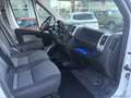 Fiat Ducato 35 2.3 MJT 130CV PM-TM Furgone Weiß - thumbnail 17