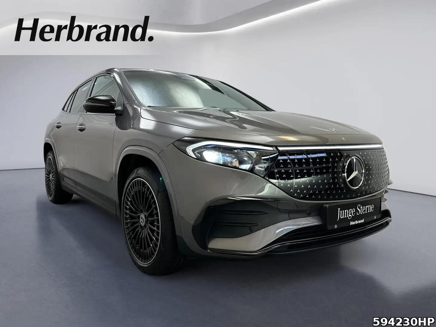 Mercedes-Benz EQA 350 4MATIC AHK Kamera Lenkradhzg Grau - 2