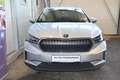 Skoda Enyaq iV 80 Loft, AHK, Wärmepumpe, LED, R-Kamera, Sit... Silber - thumbnail 3