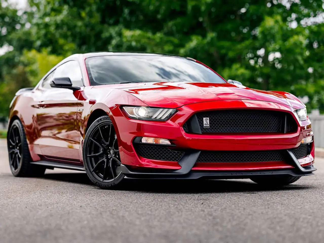 2019 Ford Mustang