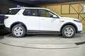 Land Rover Discovery Sport 2.0D TD4 204 PS AWD Auto MHEV Standard Blanco - thumbnail 23