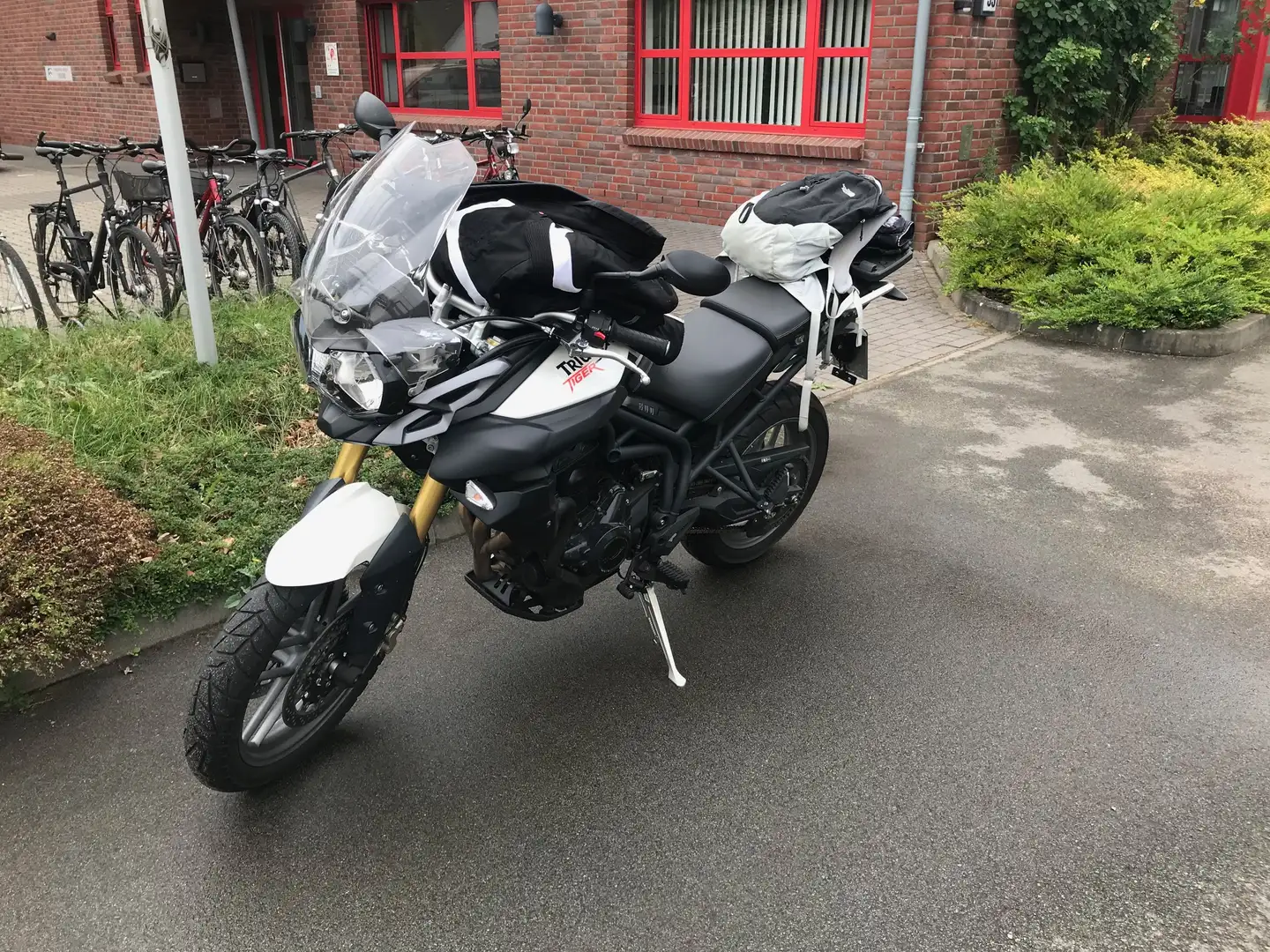 Triumph Tiger 800 Blanco - 2