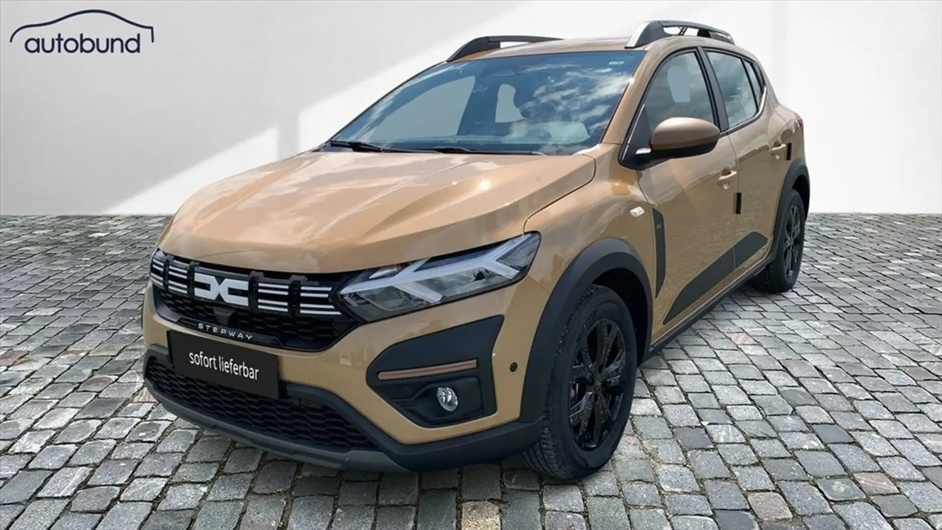 Dacia Sandero III Stepway 1,0 Eco-G 100 LPG Extreme Keyless LED Beige - 1