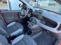 Fiat Panda 1.0 Hybrid City Life+Parksensoren Rood - thumbnail 4