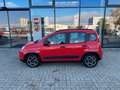 Fiat Panda 1.0 Hybrid City Life+Parksensoren Rood - thumbnail 2