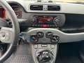 Fiat Panda 1.0 Hybrid City Life+Parksensoren Rood - thumbnail 6