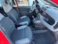 Fiat Panda 1.0 Hybrid City Life+Parksensoren Rood - thumbnail 5