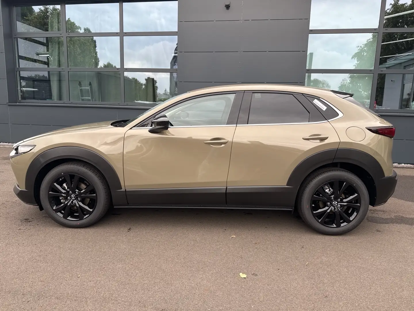 Mazda CX-30 Homura 140 Metallic - 2