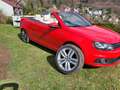 Volkswagen Eos Eos 2.0 TDI DPF BlueMotion Technology Cup - thumbnail 5
