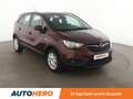 Opel Crossland X 1.2 Turbo Edition Aut.*NAVI*TEMPO*PDC*SHZ* Braun - thumbnail 8