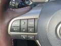Lexus RX 450h Executive Line+camera+navi+sen Szary - thumbnail 14