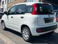 Fiat Panda 1.2i Easy 2.400kms EXCEPTIONNEL COMME NEUVE AIRCO Wit - thumbnail 4