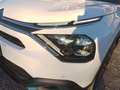 Citroen C4 E-C4 Shine 136CV Elettrica Bianco - thumbnail 6