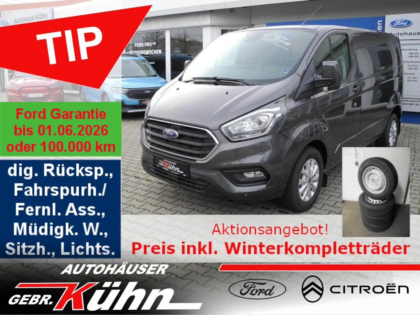 Ford 300 L1 MHEV Limited - Navi, iACC, Parkass. Grey - 1