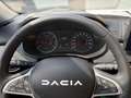 Dacia Sandero III Stepway Expression TCE 90*Schiebedac Blanc - thumbnail 8