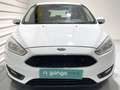 Ford Focus 1.5 Ecoboost Auto-S&S Business 150 Blanc - thumbnail 11