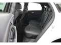 Audi Q5 40 Sportback 2.0 TDI quattro S line Panorama Weiß - thumbnail 14