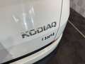 Skoda Kodiaq *AMBITION 4x4*CANTON-7SIT-APPLE-DSG-LED-17 Weiß - thumbnail 6