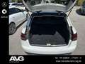 Mercedes-Benz C 220 C 220 d 4MATIC AVANTGA|STDHZG|DIST|RFK|AIRMATIC Weiß - thumbnail 16