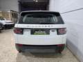 Land Rover Discovery Sport 2.0eD4 Pure 4x2 150 Blanco - thumbnail 8