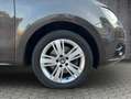 SEAT Alhambra Style Braun - thumbnail 24