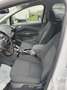 Ford C-Max Titanium Blanc - thumbnail 12