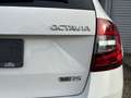 Skoda Octavia Combi RS /BI-Xenon/AHK Weiß - thumbnail 13