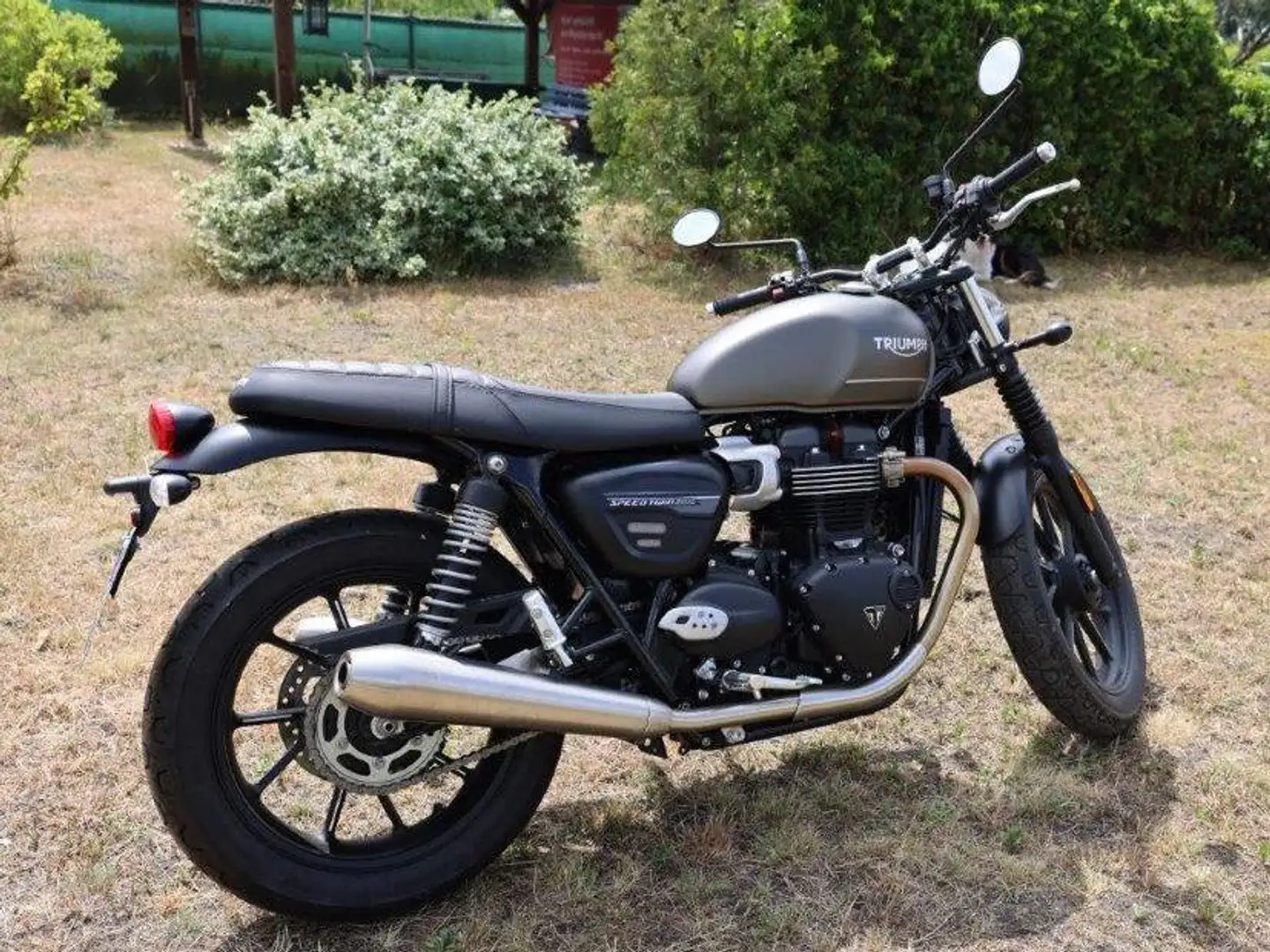 Triumph Speed Twin Bronze - 2