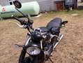 Triumph Speed Twin Bronze - thumbnail 4