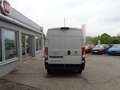 Fiat Ducato Ducato Kasten L3 H2 35 140 NUTZLAST 1420kg Weiß - thumbnail 4