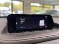 Mazda CX-30 2.0 150PS Homura Voll-LED ACAA RFK Schwarz - thumbnail 21
