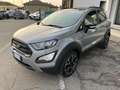 Ford EcoSport EcoSport 1.0 ecoboost Active s Grau - thumbnail 4