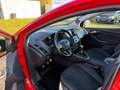 Ford Focus ST line Sportpaket/Navi/Sitzh/Lenkrh/PDC/Frontsh Rood - thumbnail 7