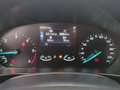 Ford Focus Focus Turnier 1.5 EcoBlue S&S C&C*GJR*KLIMA*CARPLA Gris - thumbnail 12