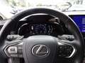 Lexus NX 300 NX Plug-in 4WD Premium + Grigio - thumbnail 15