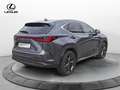 Lexus NX 300 NX Plug-in 4WD Premium + Grigio - thumbnail 5