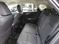 Lexus NX 300 NX Plug-in 4WD Premium + Grigio - thumbnail 11