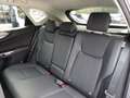 Lexus NX 300 NX Plug-in 4WD Premium + Grigio - thumbnail 12