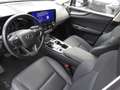 Lexus NX 300 NX Plug-in 4WD Premium + Grigio - thumbnail 9