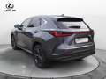 Lexus NX 300 NX Plug-in 4WD Premium + Grigio - thumbnail 7