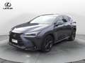 Lexus NX 300 NX Plug-in 4WD Premium + Grigio - thumbnail 1