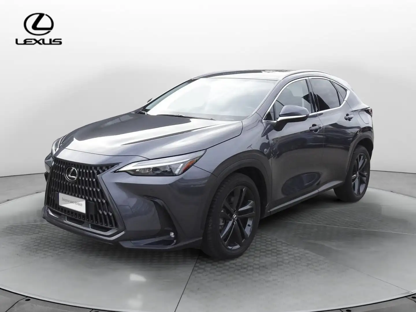 Lexus NX 300 NX Plug-in 4WD Premium + Grigio - 1